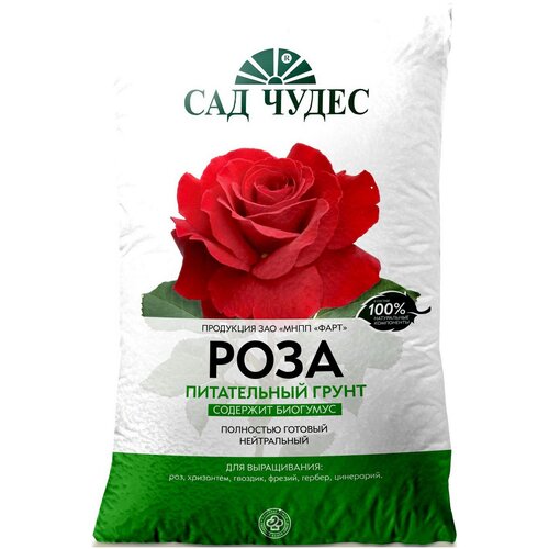 ������ ������ ����� ��� ����� ���� 2.5 ����� ����