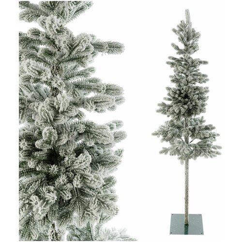 ������ ������ ��� ����������� �������� ���� ����, 250 �� ����