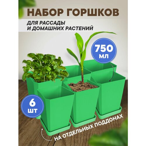 ������ ������ ����� ������� ��� ������� ������� 6 ��, 750 �� ������� ����