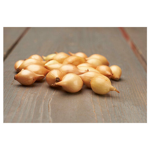 ������ ������ ��� - ����� ������ ����� (������) 100�� ������� ����