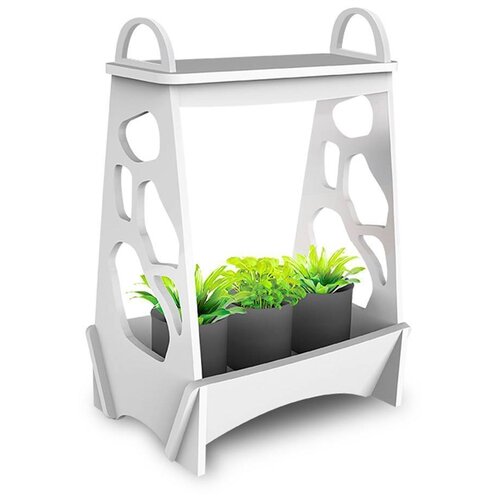 ������ ������ Jazzway ���������-���������� ��� �������� PMG 001 LED, 1 ��., ����� ����