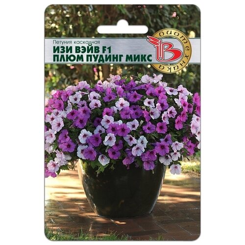 ������ ������ ������ ������� 