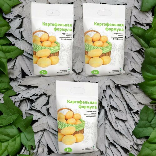 ������ ������ ������������ �������, ��������� ��� ��������� 5�� / 3�� ����