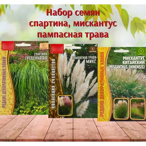 ������ ������ ������ ����������� �������� ��� ���� ��������� ��������� ����� � �������� ����� 3 ��. ����