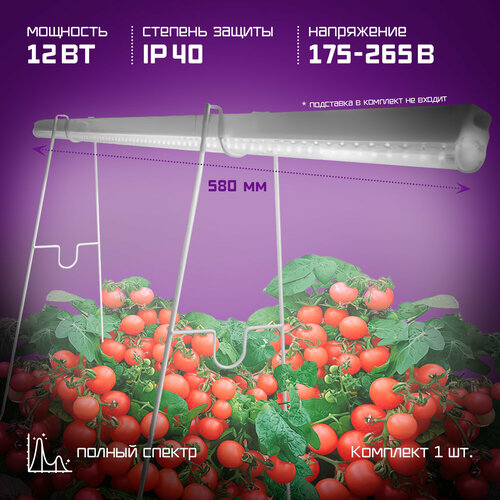 ������ ������ ��������� ������� ������� �������, 12 W ����� 60 �� ����