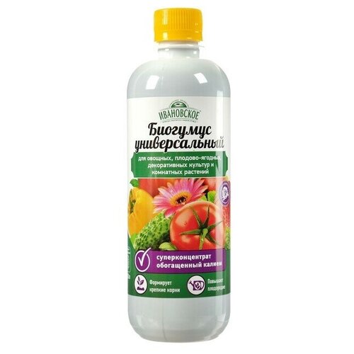 ������ ������ �������� �������������, ��������������� 0,5� ����