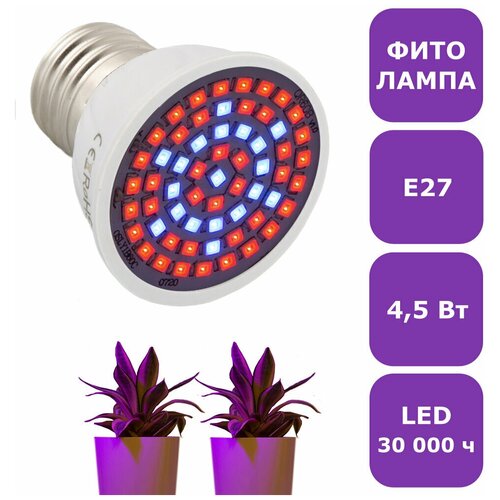 ������ ������ ��������� ������������ Luazon Lighting, E27, 4.5 ��, 220 �, ����������, ���. 5350181 ����