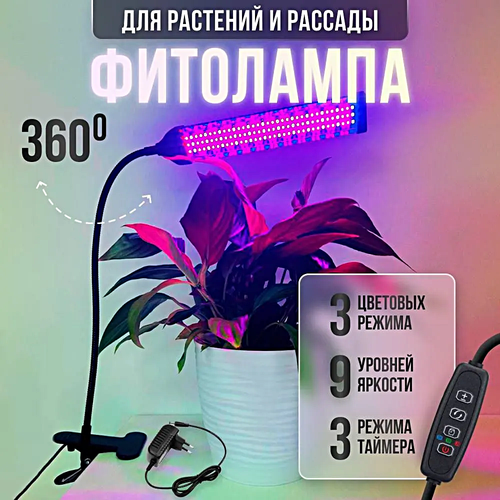 ������ ������ ��������� ������������� ��� �������� � �������, ���������������� ����� �� �������� ��� �������� ����, ����, 1 ����� ����