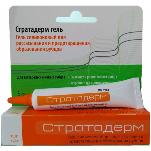 ������ ������ ���������� ����, 10 � ����