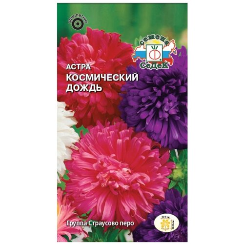 ������ ������ ������ ����� ����� ����������� ����� ����