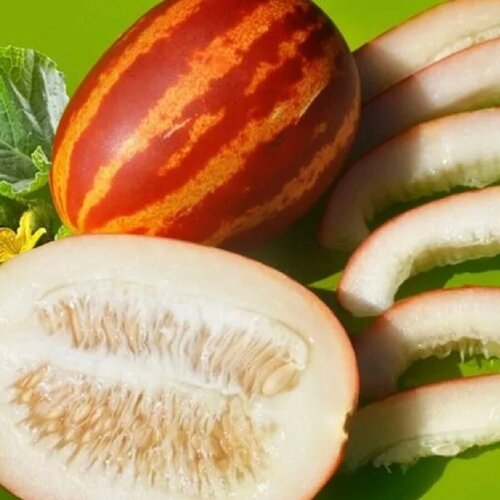 ������ ������ ������ ������ ���� ����������� 10 ��. ����