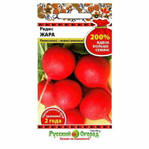 ������ ������ ������ ����� ���� 6� ������ (������� ������) 200% ����