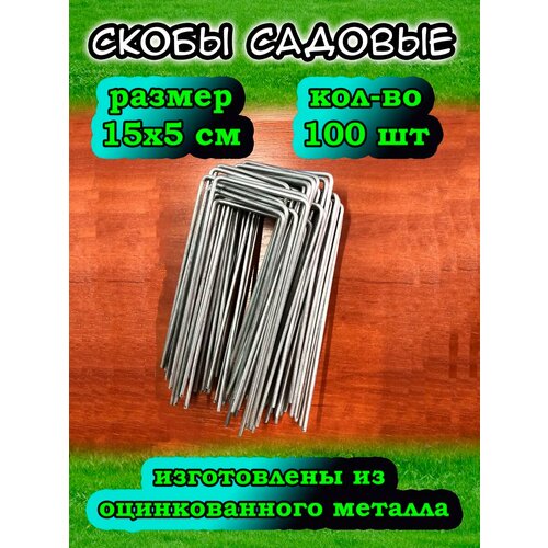 ������ ������ ����� ������� ������� ����