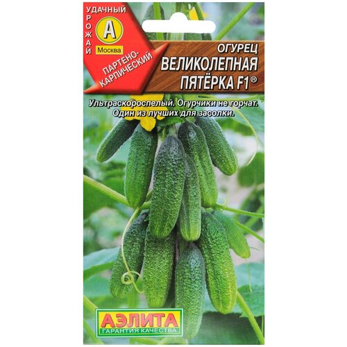 ������ ������ ������ ������ 