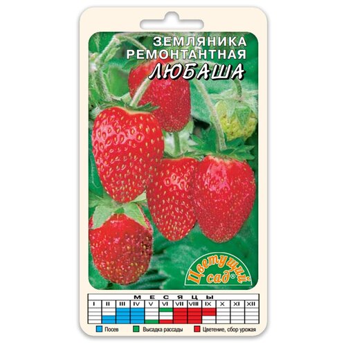 ������ ������ ��������� ������ ������������ (������ �������� ��� 0,03 �) ����