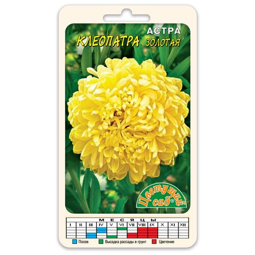 ������ ������ ����� ����� ��������� ������� (������ �������� ��� 0,2 �) ����