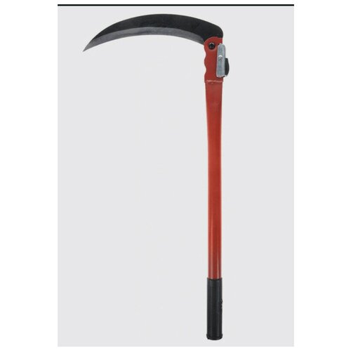 ������ ������ ���� �������� ������ / ���� ��� ����� ������, ����� 50 ��. ����