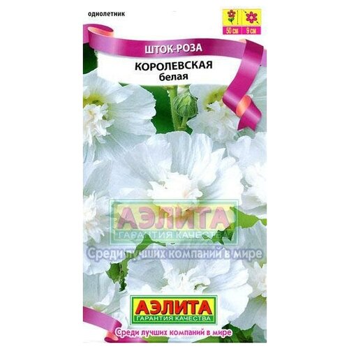 ������ ������ ������. ����-���� 