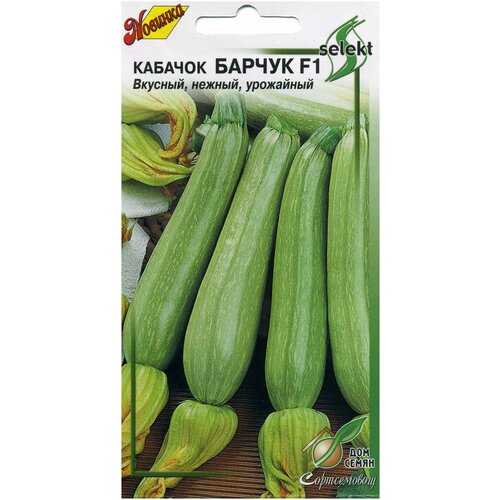 ������ ������ ������� ������ F1, 12 ����� ����