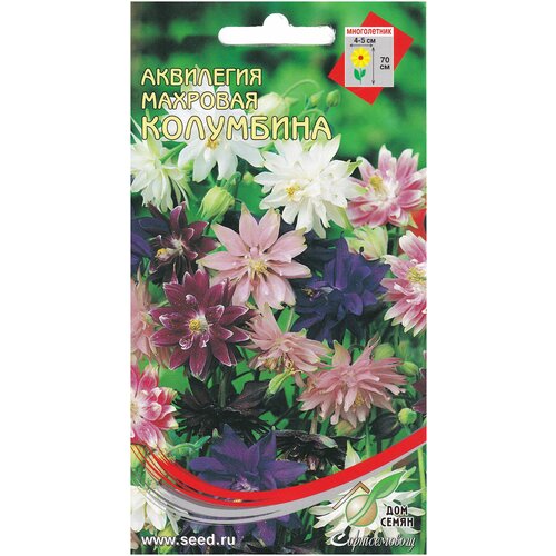 ������ ������ ��������� ����������� �������� ���������, 35 ����� ����