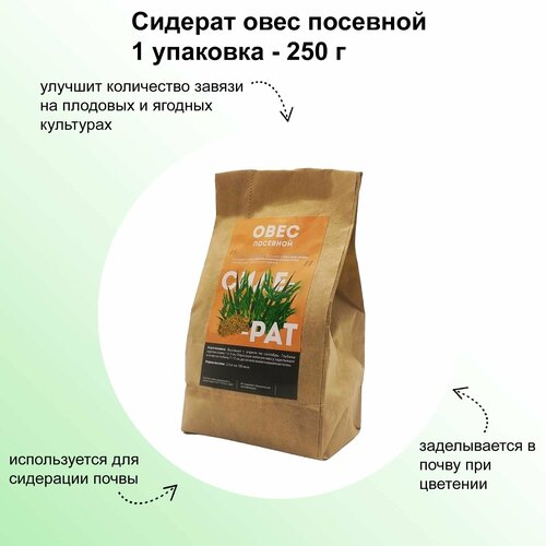 ������ ������ ������� ���� ��������, ������������� 250 ��: ������������ ��� ����������� ��������� ����� ����