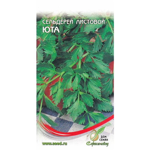 ������ ������ ��������� �������� ���, 1100 ����� ����