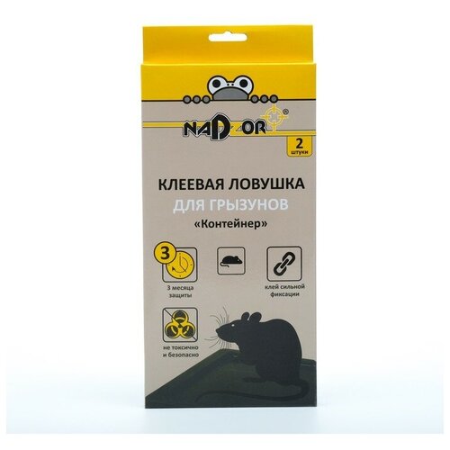 ������ ������ ������� ������� Nadzor ��� �������� ����������, 2 �� ����