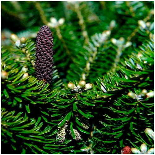 ������ ������ ������ ������ ����� ��������� ������ 30 ��. ����