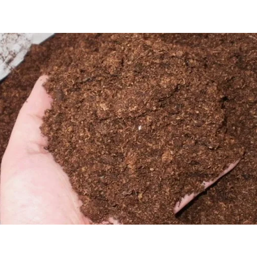 ������ ������ �������� ������� �����, �������������, ������������, �������, 10 � ����