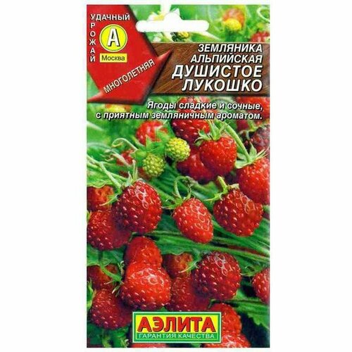 ������ ������ ������ ��������� �������� ������� (������) 0,04� ����