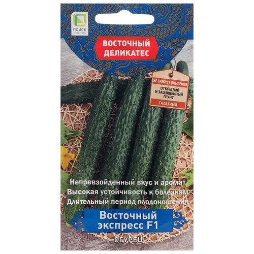 ������ ������ ������ ����� ������ ��������� �������� F1 5 �� ����