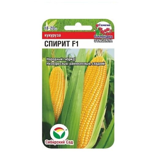 ������ ������ �������� ������ F1 5�� ����