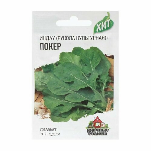 ������ ������ ������ ����� (������ ) ���������� 