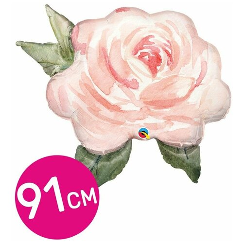 ������ ������ ��������� ��� �������������� Riota ��������, ���� �����������, 91 �� ����