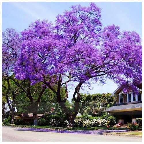 ������ ������ ������ ��������� ��������� ��������� �������������, 200 �� ����