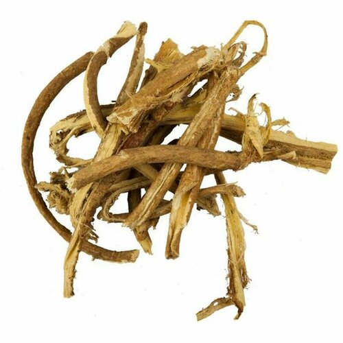 ������ ������ �������� ������������, ������, �����, ���������, 25 � ����