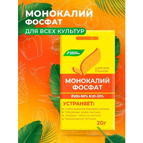 ������ ������ ��������� ��������� ������ 20 �. ����