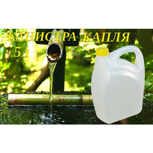 ������ ������ �������� 5� ������� �������������� ���� ����� ����� ����