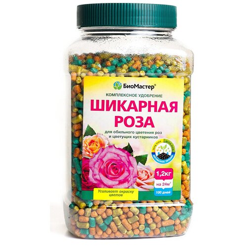 ������ ������ ��������� ��������� �������� ����, 1,2 �� ����