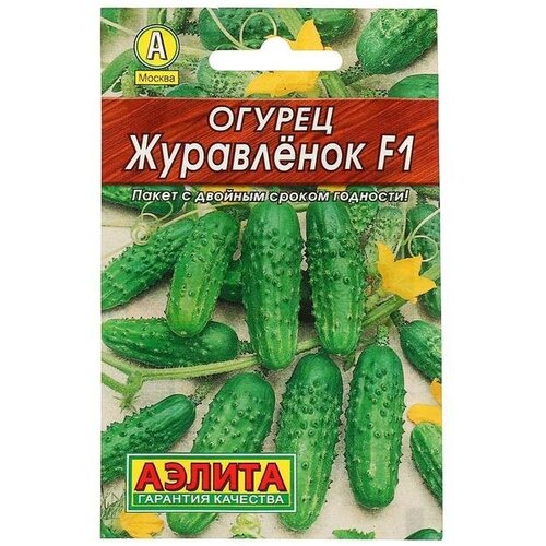 ������ ������ ������ ������ 