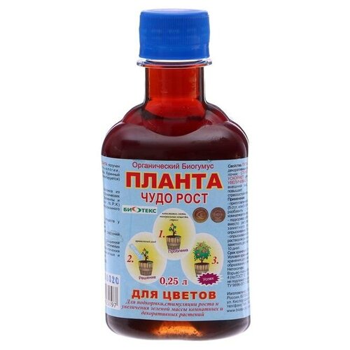 ������ ������ ������ 