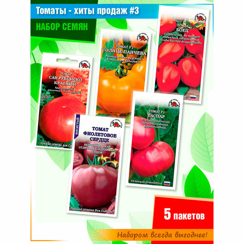 ������ ������ ����� ����� ������� 