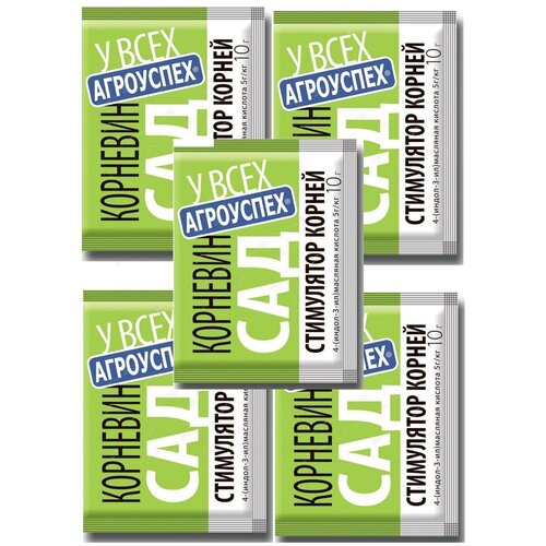 ������ ������ �������� ��������� 10�, ����� 5�� ����