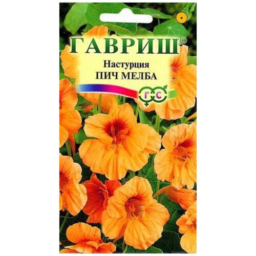 ������ ������ ������ ��������� ��� ����� 1,0 � (������) ����