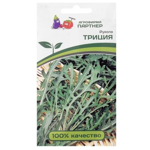 ������ ������ ������ ������ 