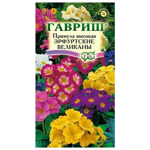 ������ ������ ������. ������� 