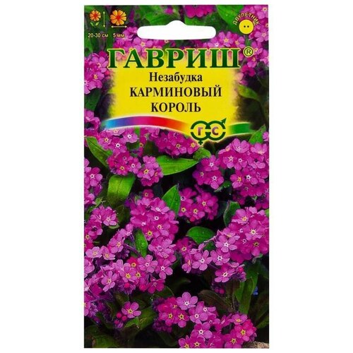 ������ ������ ������. ��������� 