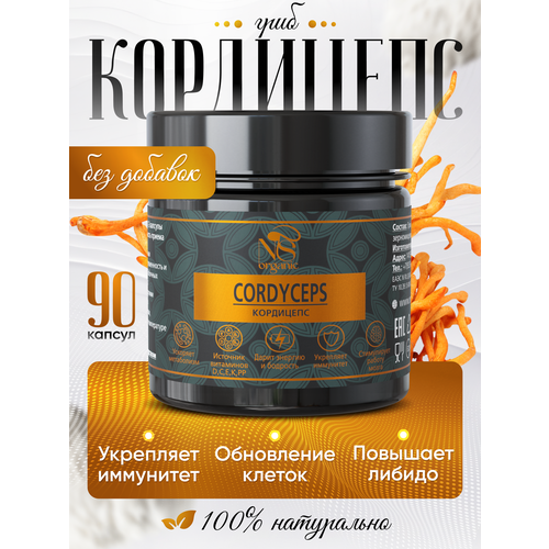 ������ ������ ��������� � �������� �� 500 ��, ��������� 90 ��. ����