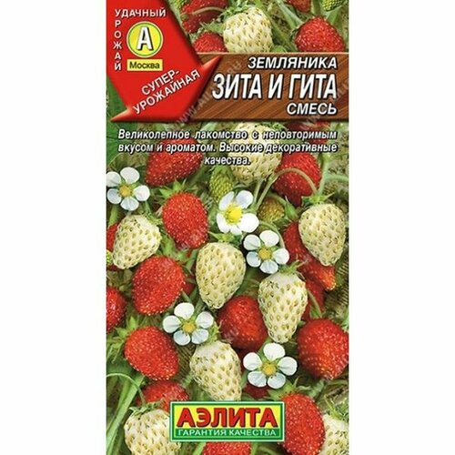 ������ ������ ������ ��������� ���� � ���� (������) 0,04� ����