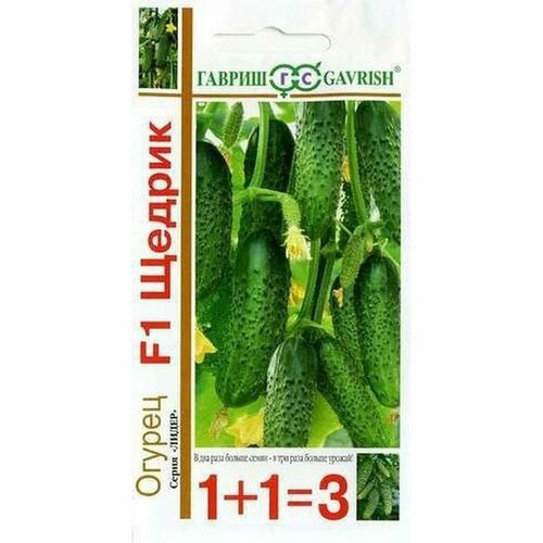 ������ ������ ������ ������ ������ F1 ����, �����������, (������) 20�� ���1+1 ����